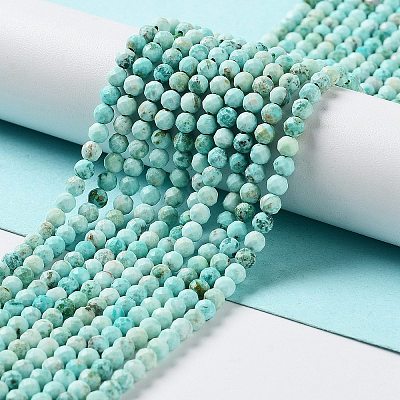 Natural Peruvian Turquoise(Jasper) Beads Strands G-J401-A01-01-1