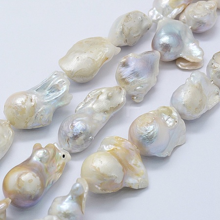 Natural Baroque Pearl Keshi Pearl Beads Strands PEAR-K004-14-1