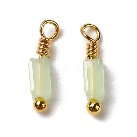 Imitation Jade Glass Charms KK-P242-14G-1