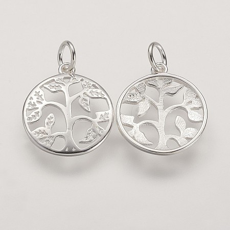 Sterling Silver Pendants X-STER-K029-01S-1