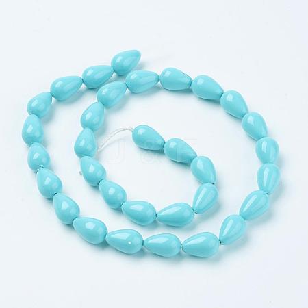 Shell Pearl Beads Strands BSHE-L035-H01-1