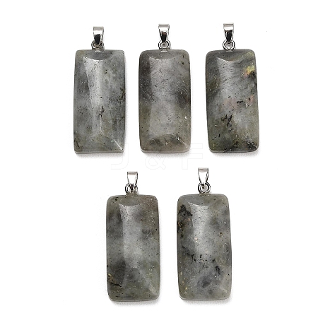 Natural Labradorite Pendants GG-CBAA0EE-01P-12-1