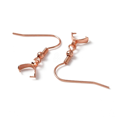 304 Stainless Steel Earring Hooks X-STAS-WH0035-14RG-1