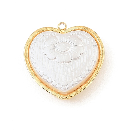 304 Stainless Steel with Acrylic Pendants STAS-Z199-11G-03-1