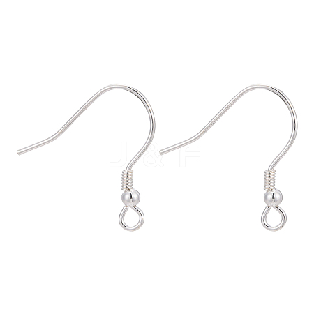 925 Sterling Silver Earring Hooks STER-M031-02S-1