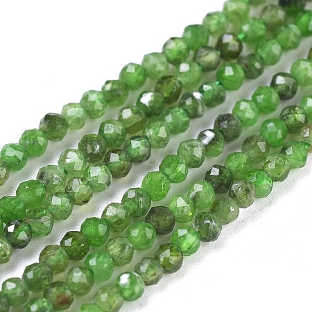 Natural Diopside Beads Strands G-R475-026A-1