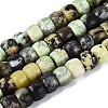 Natural Serpentine Beads Strands G-Q616-02A-09-2