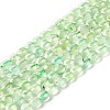 Natural Prehnite Beads Strands G-D0003-A99-1