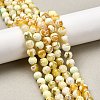 Natural Fire Crackle Agate Bead Strands G-K166-07F-8mm-07-8