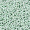 MIYUKI Delica Beads X-SEED-J020-DB1506-3