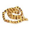 Natural Amber Beads Strands G-L095-E01-03-3