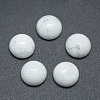 Natural Howlite Cabochons G-P393-R32-10mm-1