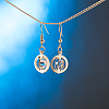 Crystal Rhinestone Dangle Earrings EJEW-BB72421-A-8