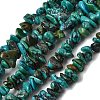 Natural HuBei Turquoise Bead Strands G-H345-A01-14-2