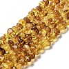 Natural Amber Beads Strands G-L095-L01-01-2
