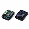Natural Abalone Shell/Paua Shell Beads SSHEL-T014-11B-2