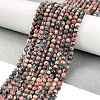 Natural Leopard Skin Jasper Beads Strands G-M438-A02-01-2