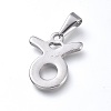 Non-Tarnish 304 Stainless Steel Pendants LS-STAS-L210-06F-P-01-1