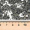 MIYUKI Delica Beads X-SEED-J020-DB2507-3