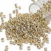 TOHO 6/0 Round Beads SEED-XTR06-PF0558-1