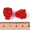 Handmade Lampwork Beads LAMP-T011-14E-4