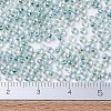 MIYUKI Round Rocailles Beads SEED-JP0008-RR0263-2