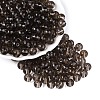 FGB Transparent Glass Seed Beads SEED-N013-01C-18-1