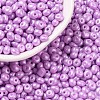 6/0 Glass Seed Beads SEED-L011-08A-31-1