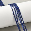 Natural Lapis Lazuli Beads Strands G-G271-G07-1x1.5mm-1