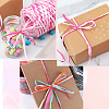 Segment Dyed Raffia Paper Cords for DIY Craft OCOR-WH20020-27A-6