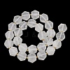 Natural Quartz Crystal Beads Strands G-A291-A04-01-4