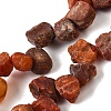 Natural Carnelian Beads Strands G-S386-B06-2