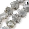 Natural Labradorite Beads Strands G-F769-P01-01-1