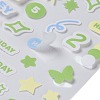 PET Plastic Stickers LS-DIY-H168-01C-3