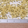 MIYUKI Delica Beads X-SEED-J020-DB0042-4