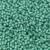 TOHO Round Seed Beads SEED-TR11-PF2119-2