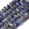 Natural Tanzanite Beads Strands G-L649-C07-01-2