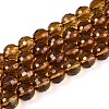 Transparent Glass Bead Strands GLAA-R095-10mm-31-1