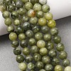 Natural Gemstone Beads GSR6mmC032-10