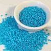 Opaque Colours Glass Seed Beads PW-WG6EF65-19-1