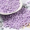 Glass Seed Beads SEED-K009-02A-05-1