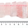 Natural Rose Quartz Beads Strands G-L551B-17-4
