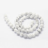 Natural Howlite Beads Strands G-F523-28-6mm-2