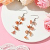 Natural Agate Dangle Earrings for Women EJEW-TA00553-04-2