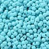 Rubberized Style Glass Seed Beads SEED-Z003-01D-3