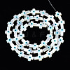 Natural White Shell Mother of Pearl Shell Beads SHEL-N026-156-2