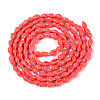 Spray Painted Natural Spiral Shell Beads Strands BSHE-G039-08F-2