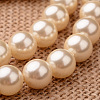 Polished Round Grade A Shell Pearl Bead Strands BSHE-M027-12mm-24-1