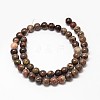 Natural Rainforest Agate Round Bead Strands G-P075-45-6mm-2