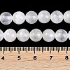 Natural Selenite Beads Strands G-G167-A01-01-5